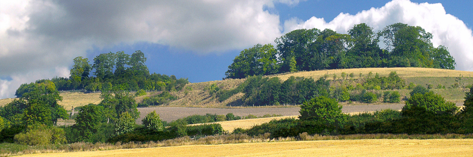 'Round Hill and Castle Hill' 